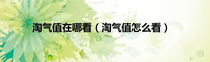 淘气值在哪看（淘气值怎么看）