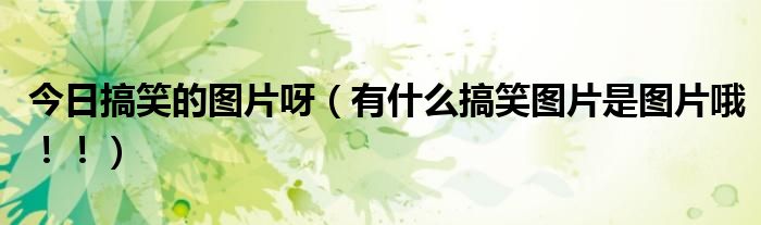 今日搞笑的图片呀（有什么搞笑图片是图片哦！！）