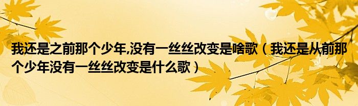 我还是之前那个少年,没有一丝丝改变是啥歌（我还是从前那个少年没有一丝丝改变是什么歌）
