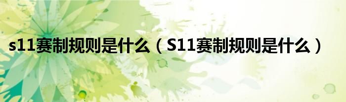 s11赛制规则是什么（S11赛制规则是什么）