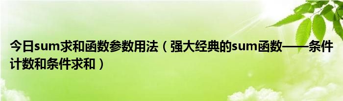 今日sum求和函数参数用法（强大经典的sum函数——条件计数和条件求和）