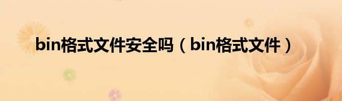 bin格式文件安全吗（bin格式文件）
