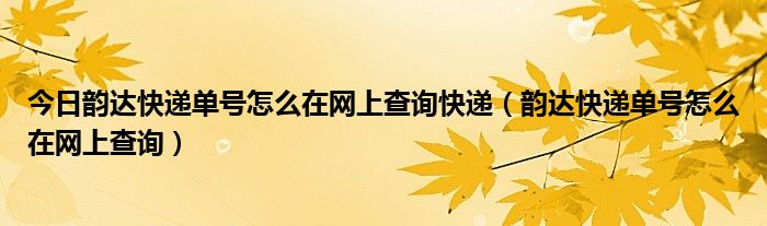 今日韵达快递单号怎么在网上查询快递（韵达快递单号怎么在网上查询）