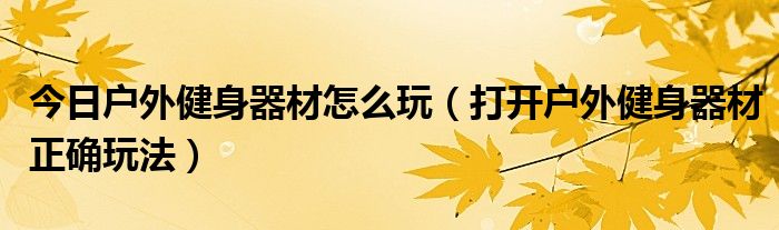 今日户外健身器材怎么玩（打开户外健身器材正确玩法）
