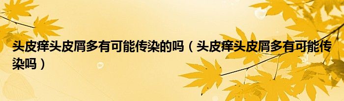 头皮痒头皮屑多有可能传染的吗（头皮痒头皮屑多有可能传染吗）