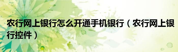 农行网上银行怎么开通手机银行（农行网上银行控件）