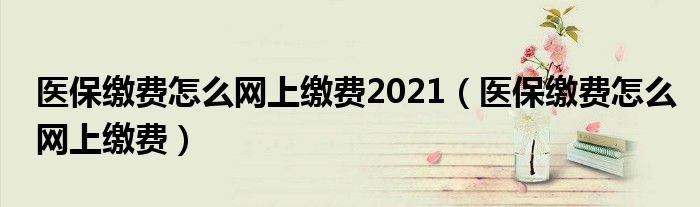 医保缴费怎么网上缴费2021（医保缴费怎么网上缴费）