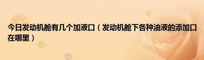今日发动机舱有几个加液口（发动机舱下各种油液的添加口在哪里）