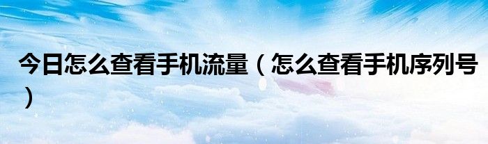 今日怎么查看手机流量（怎么查看手机序列号）