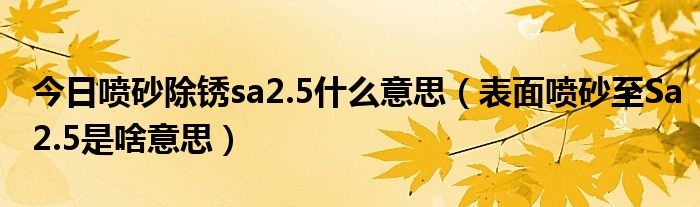 今日喷砂除锈sa2.5什么意思（表面喷砂至Sa2.5是啥意思）