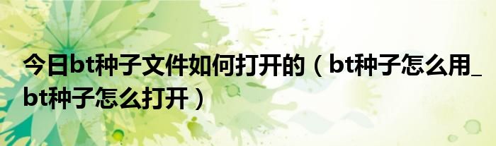 今日bt种子文件如何打开的（bt种子怎么用_bt种子怎么打开）