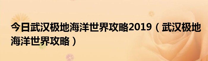 今日武汉极地海洋世界攻略2019（武汉极地海洋世界攻略）