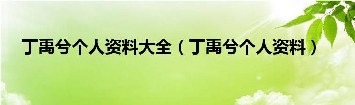 丁禹兮个人资料大全（丁禹兮个人资料）