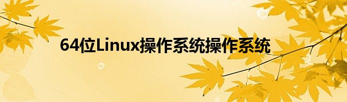64位Linux操作系统操作系统