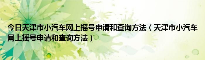 今日天津市小汽车网上摇号申请和查询方法（天津市小汽车网上摇号申请和查询方法）