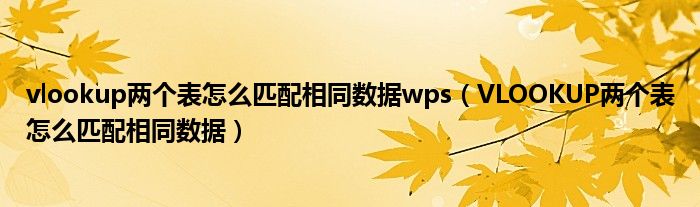 vlookup两个表怎么匹配相同数据wps（VLOOKUP两个表怎么匹配相同数据）