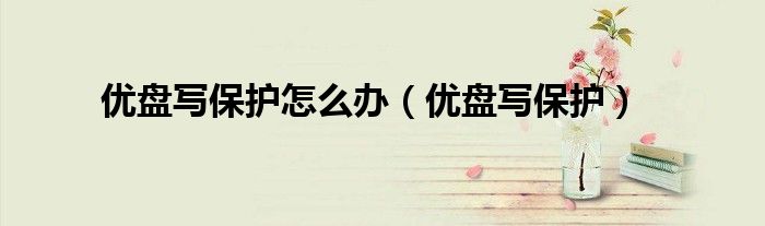 优盘写保护怎么办（优盘写保护）