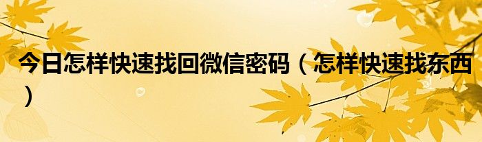 今日怎样快速找回微信密码（怎样快速找东西）