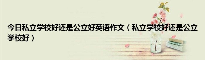 今日私立学校好还是公立好英语作文（私立学校好还是公立学校好）