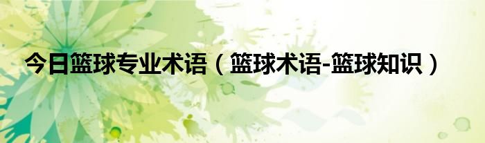 今日篮球专业术语（篮球术语-篮球知识）