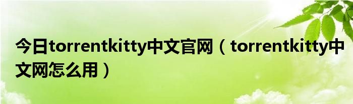 今日torrentkitty中文官网（torrentkitty中文网怎么用）