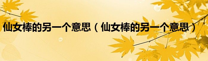 仙女棒的另一个意思（仙女棒的另一个意思）