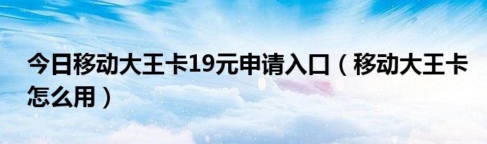 今日移动大王卡19元申请入口（移动大王卡怎么用）