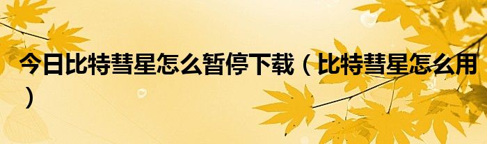 今日比特彗星怎么暂停下载（比特彗星怎么用）