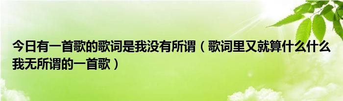 今日有一首歌的歌词是我没有所谓（歌词里又就算什么什么我无所谓的一首歌）