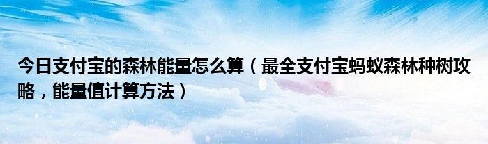 今日支付宝的森林能量怎么算（最全支付宝蚂蚁森林种树攻略，能量值计算方法）