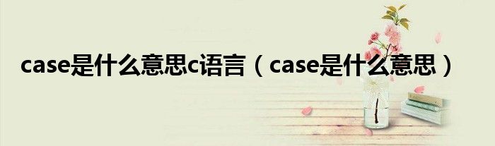 case是什么意思c语言（case是什么意思）