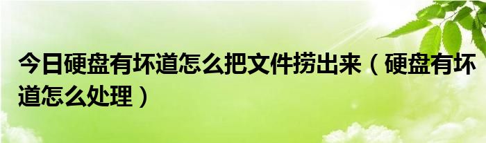 今日硬盘有坏道怎么把文件捞出来（硬盘有坏道怎么处理）