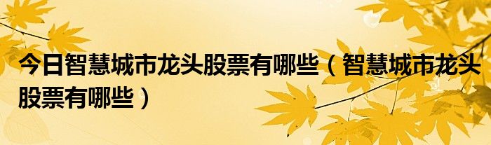今日智慧城市龙头股票有哪些（智慧城市龙头股票有哪些）