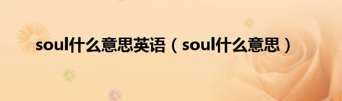 soul什么意思英语（soul什么意思）