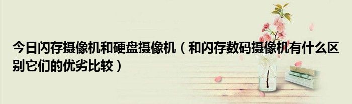 今日闪存摄像机和硬盘摄像机（和闪存数码摄像机有什么区别它们的优劣比较）