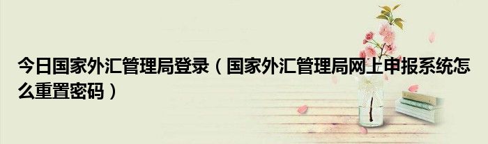 今日国家外汇管理局登录（国家外汇管理局网上申报系统怎么重置密码）