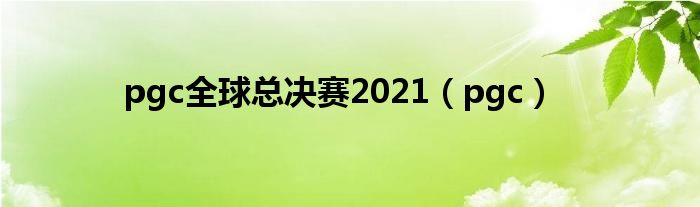pgc全球总决赛2021（pgc）