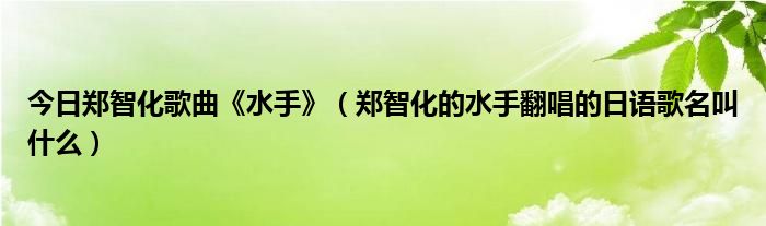 今日郑智化歌曲《水手》（郑智化的水手翻唱的日语歌名叫什么）