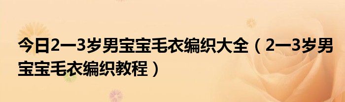 今日2一3岁男宝宝毛衣编织大全（2一3岁男宝宝毛衣编织教程）