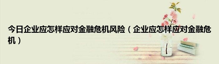 今日企业应怎样应对金融危机风险（企业应怎样应对金融危机）