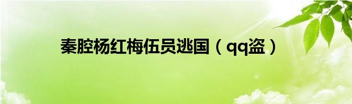 秦腔杨红梅伍员逃国（qq盗）