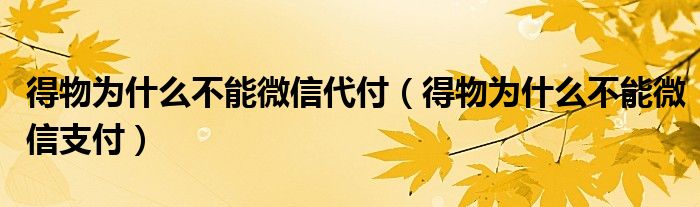 得物为什么不能微信代付（得物为什么不能微信支付）