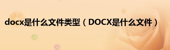 docx是什么文件类型（DOCX是什么文件）