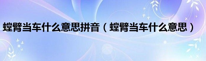螳臂当车什么意思拼音（螳臂当车什么意思）