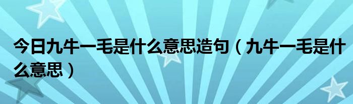 今日九牛一毛是什么意思造句（九牛一毛是什么意思）