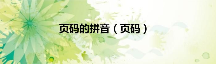页码的拼音（页码）