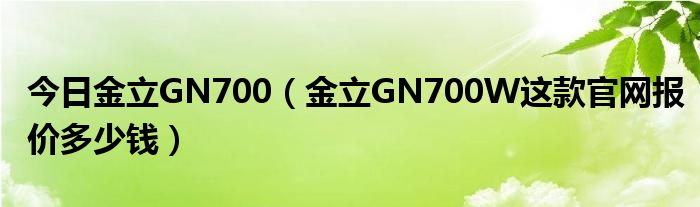 今日金立GN700（金立GN700W这款官网报价多少钱）