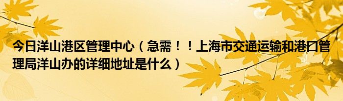 今日洋山港区管理中心（急需！！上海市交通运输和港口管理局洋山办的详细地址是什么）