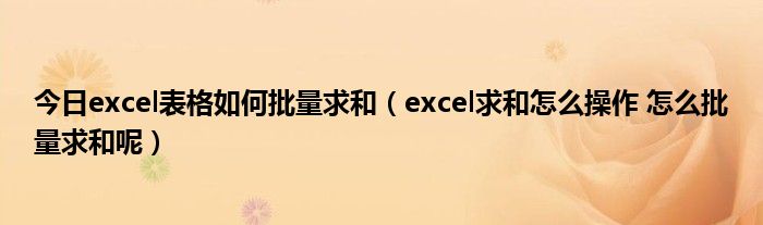 今日excel表格如何批量求和（excel求和怎么操作 怎么批量求和呢）