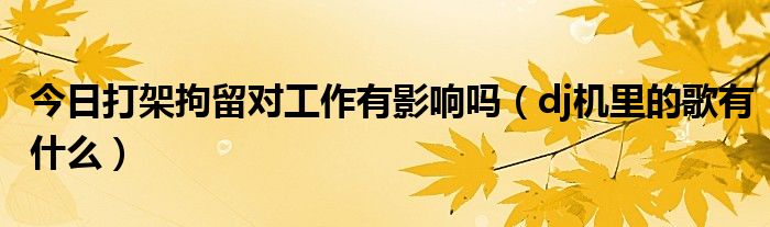 今日打架拘留对工作有影响吗（dj机里的歌有什么）